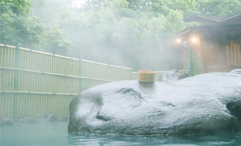 ��Ȫ���ݲŽ���